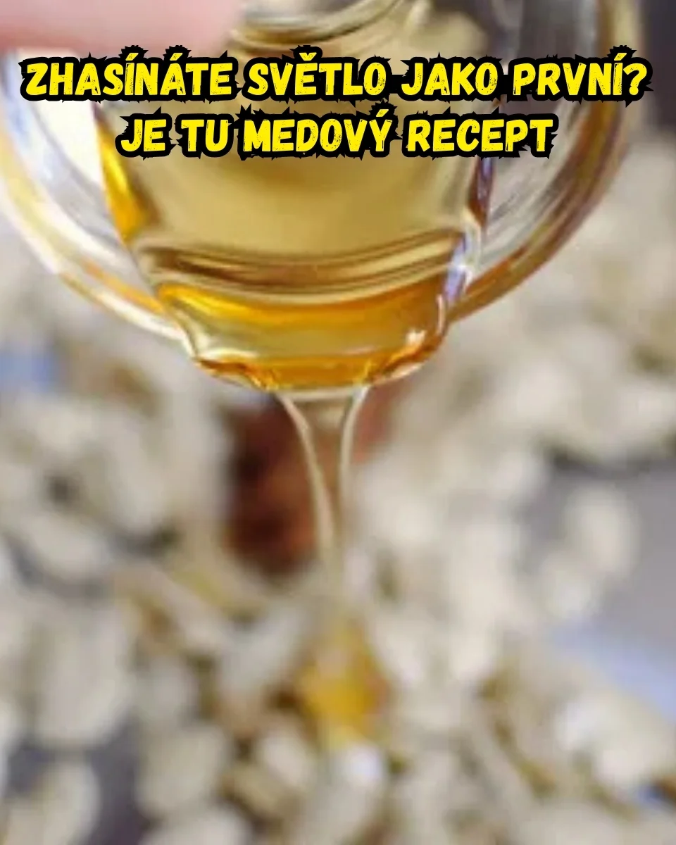 Flexibilita a pohyblivost